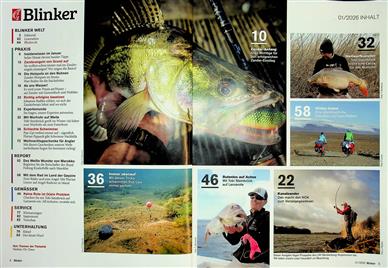 Blinker Inhaltsverzeichnis