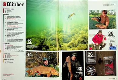 Blinker Inhaltsverzeichnis