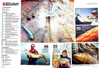 Blinker Inhaltsverzeichnis