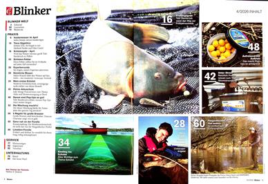 Blinker Inhaltsverzeichnis