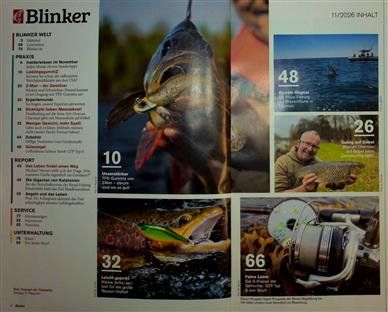 Blinker Inhaltsverzeichnis