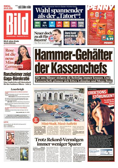 BILD Inhaltsverzeichnis