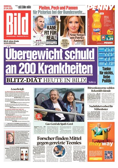 BILD Inhaltsverzeichnis