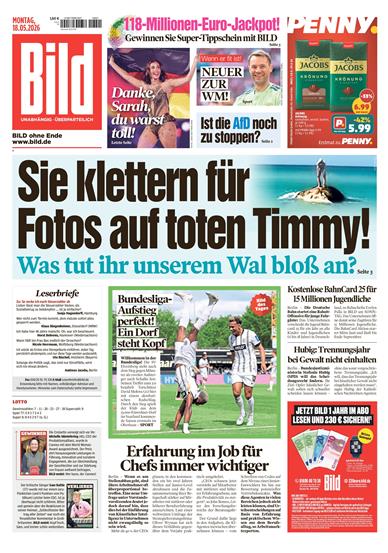 BILD Inhaltsverzeichnis