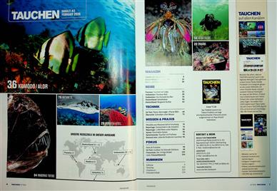 Tauchen Inhaltsverzeichnis
