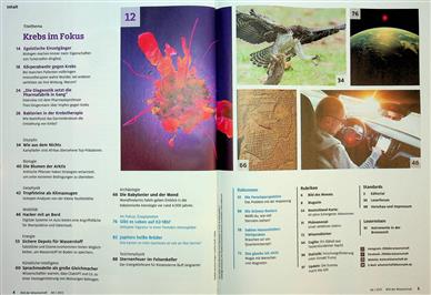 Bild der Wissenschaft Inhaltsverzeichnis