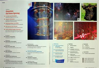Bild der Wissenschaft Inhaltsverzeichnis