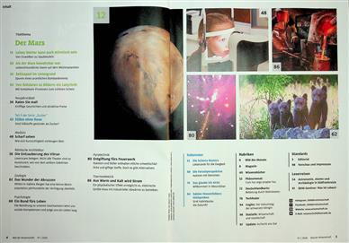 Bild der Wissenschaft Inhaltsverzeichnis