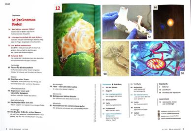 Bild der Wissenschaft Inhaltsverzeichnis