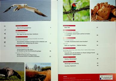Falke Inhaltsverzeichnis