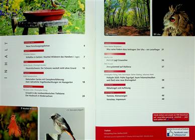 Falke Inhaltsverzeichnis
