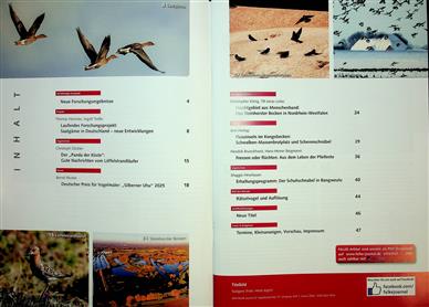 Falke Inhaltsverzeichnis