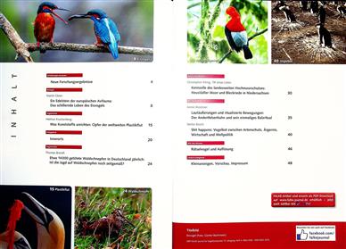 Falke Inhaltsverzeichnis