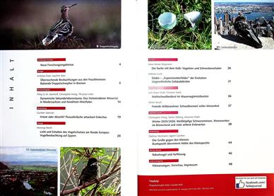 Falke Inhaltsverzeichnis
