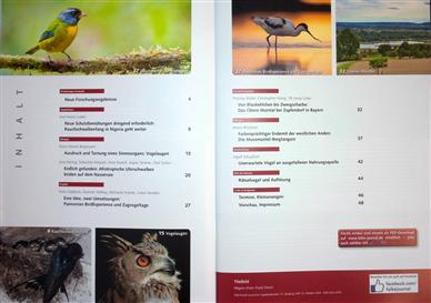 Falke Inhaltsverzeichnis