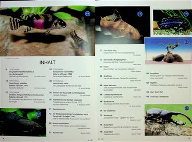 Aquaristik Fachmagazin Inhaltsverzeichnis