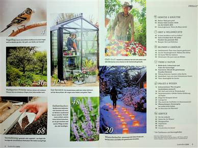 Kraut & Rüben Inhaltsverzeichnis