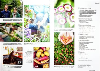 Kraut & Rüben Inhaltsverzeichnis