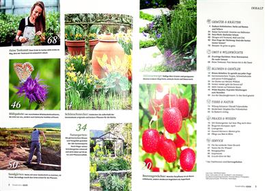 Kraut & Rüben Inhaltsverzeichnis