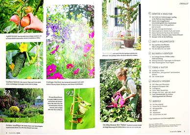 Kraut & Rüben Inhaltsverzeichnis