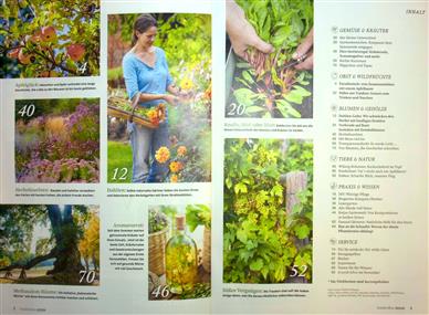Kraut & Rüben Inhaltsverzeichnis