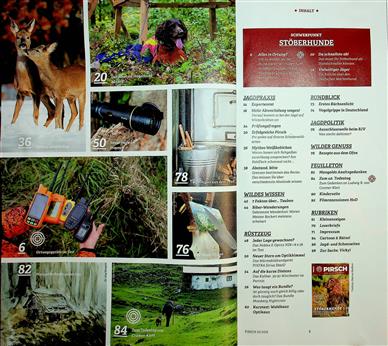 Pirsch Inhaltsverzeichnis