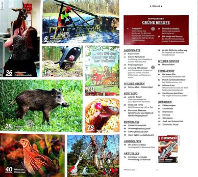 Pirsch Inhaltsverzeichnis