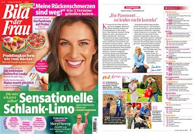 Bild der Frau Inhaltsverzeichnis