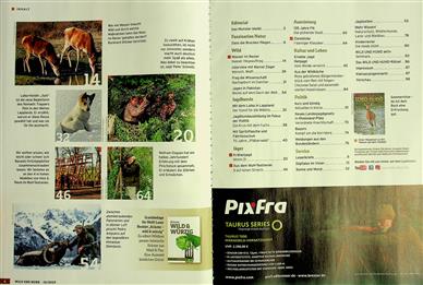 Wild und Hund Inhaltsverzeichnis