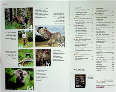 Wild und Hund Inhaltsverzeichnis