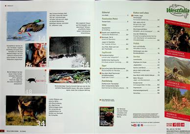 Wild und Hund Inhaltsverzeichnis