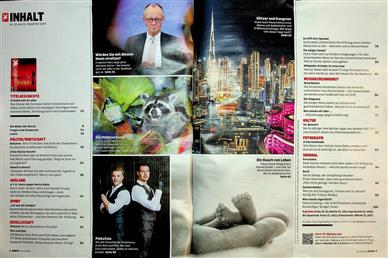 stern Inhaltsverzeichnis