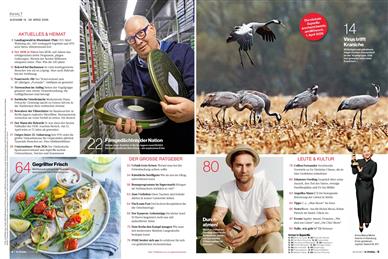 SUPERillu Inhaltsverzeichnis