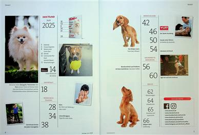 Der Hund Inhaltsverzeichnis