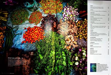 Globetrotter-Magazin Schweiz Inhaltsverzeichnis