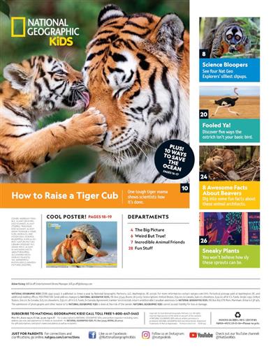 National Geographic Kids US Inhaltsverzeichnis