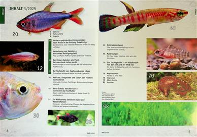 Datz Inhaltsverzeichnis