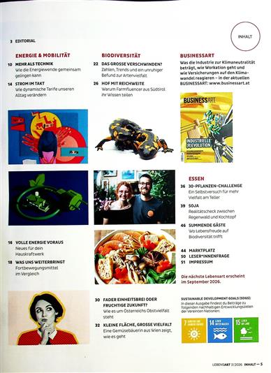 BusinessArt Inhaltsverzeichnis