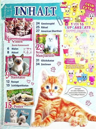 Total Tierlieb! Spezial Katzenbabys Inhaltsverzeichnis