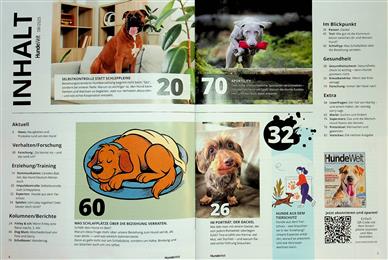 Hundewelt Inhaltsverzeichnis