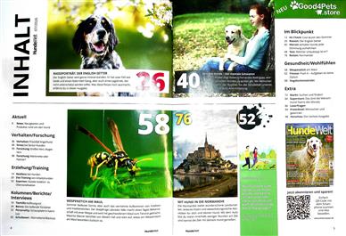 Hundewelt Inhaltsverzeichnis