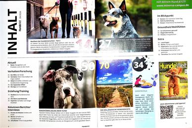 Hundewelt Inhaltsverzeichnis