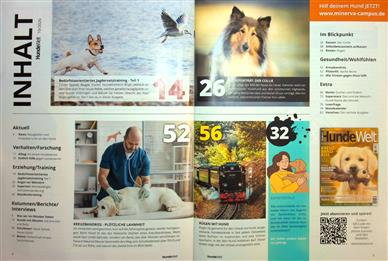 Hundewelt Inhaltsverzeichnis