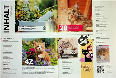 Our Cats Inhaltsverzeichnis