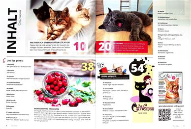 Our Cats Inhaltsverzeichnis