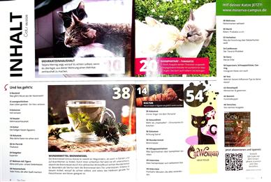 Our Cats Inhaltsverzeichnis