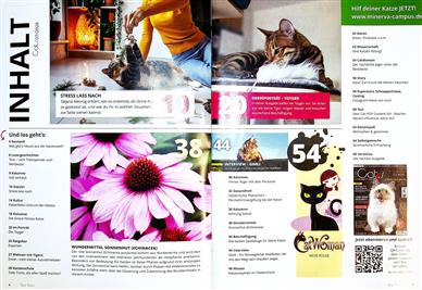 Our Cats Inhaltsverzeichnis