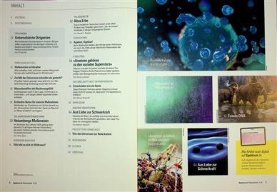 Spektrum der Wissenschaft Inhaltsverzeichnis