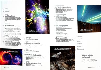 Spektrum der Wissenschaft Inhaltsverzeichnis