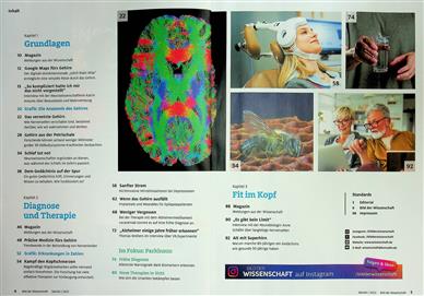 Bild der Wissenschaft Spezial Gesundes Gehirn Inhaltsverzeichnis